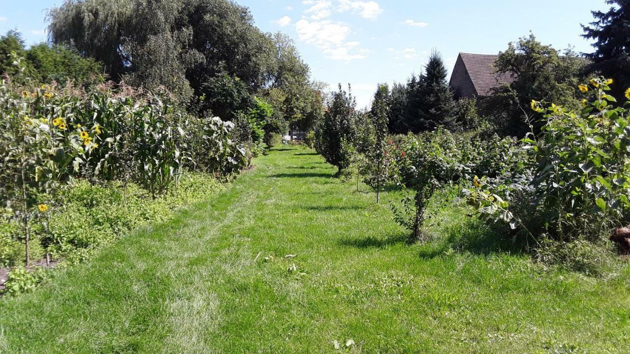 Gaestezimmer Sommer Locktow Екстериор снимка