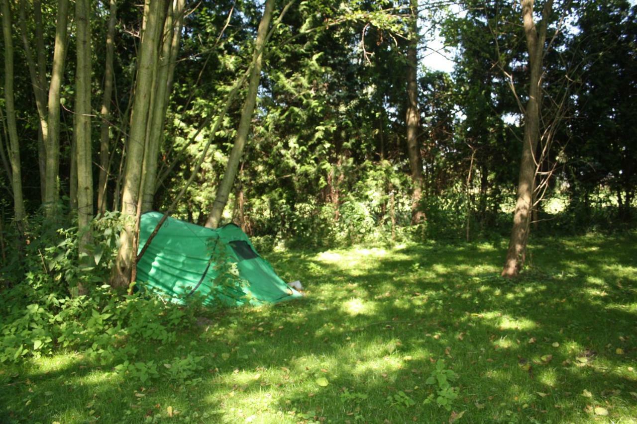 Gaestezimmer Sommer Locktow Екстериор снимка